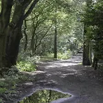 In Brabant With Cozy Covered Terrace Шале Оирсхот