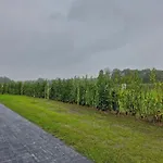 In Brabant With Cozy Covered Terrace Шале *