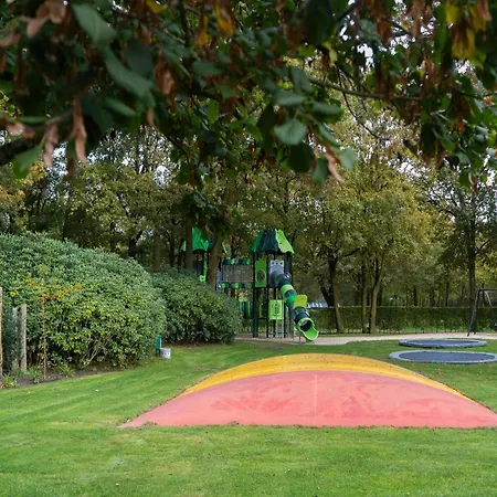 Alpehytte In Brabant With Cozy Covered Terrace