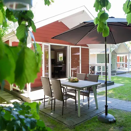 Beautiful With A Terrace, Located In A In Brabant Oirschot