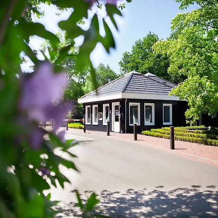 木屋 Beautiful With A Terrace, Located In A In Brabant *