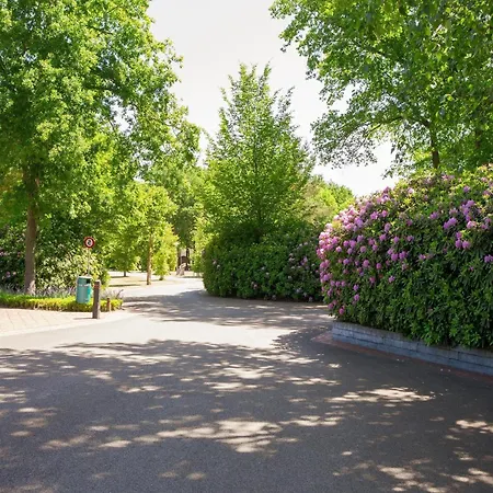 Beautiful With A Terrace, Located In A In Brabant 샬레