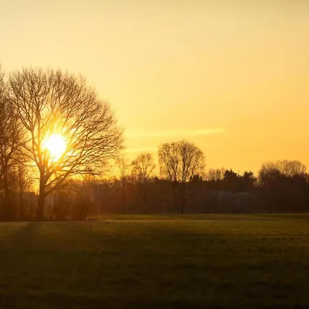 In Brabant With Cozy Covered Terrace * Oirschot