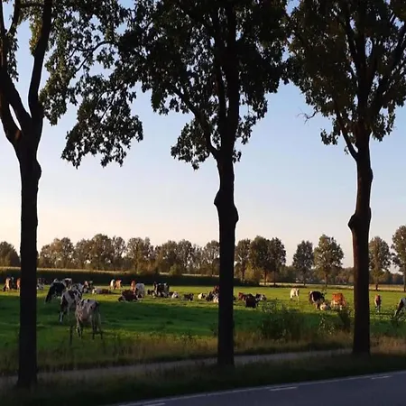 In Brabant With Cozy Covered Terrace Oirschot