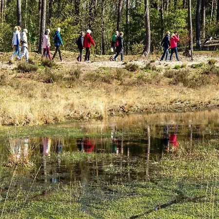 Alpehytte In Brabant With Cozy Covered Terrace Oirschot