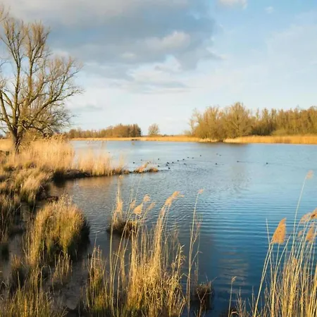 In Brabant With Cozy Covered Terrace Oirschot