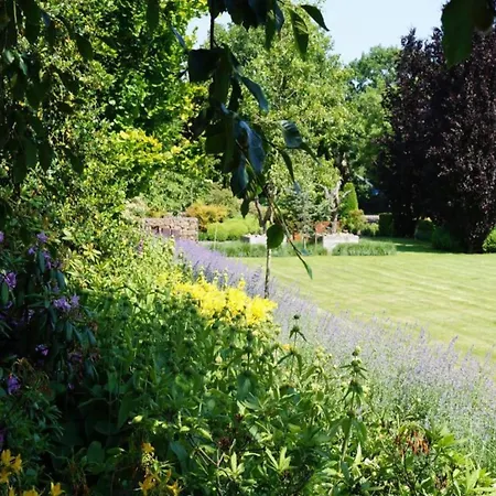 Beautiful With A Terrace, Located In A In Brabant 木屋