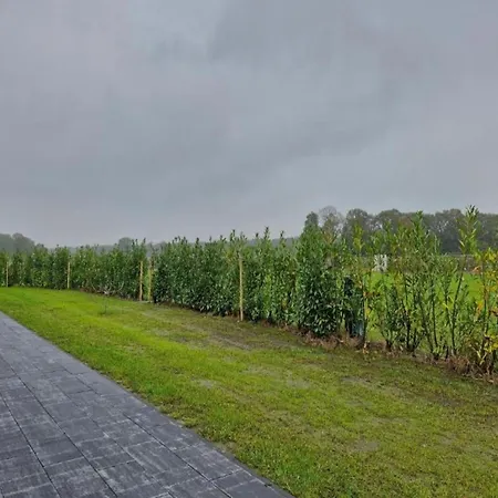 Beautiful With A Terrace, Located In A In Brabant 木屋 *