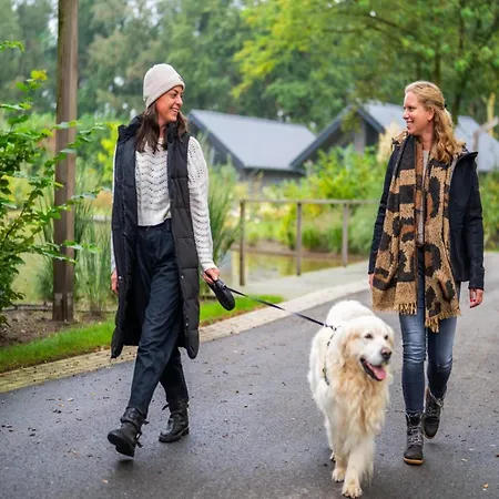 Chalet In Brabant With Cozy Covered Terrace Oirschot