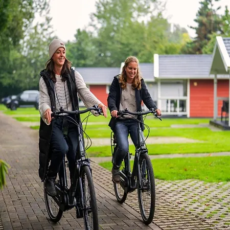 Chalet In Brabant With Cozy Covered Terrace