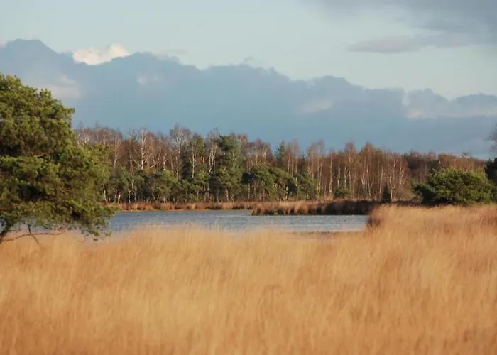 In Brabant With Cozy Covered Terrace Chalet Oirschot