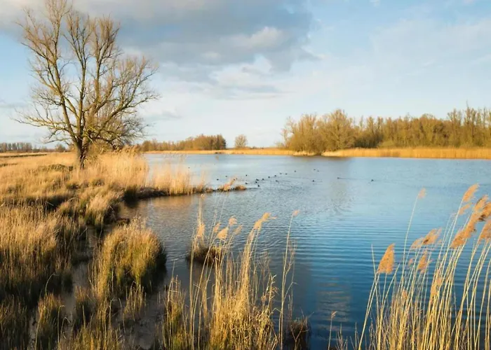 In Brabant With Cozy Covered Terrace Oirschot