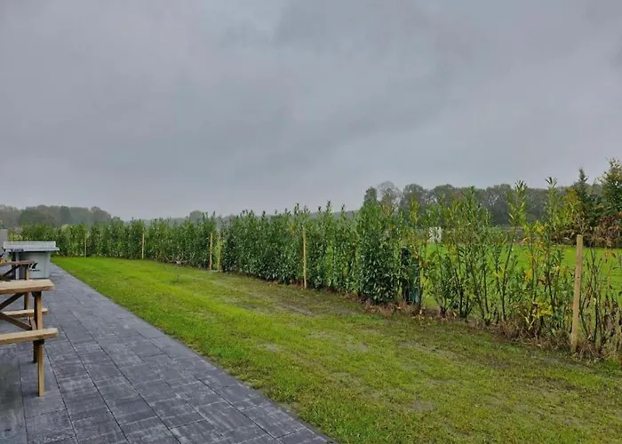 In Brabant With Cozy Covered Terrace Chalet *