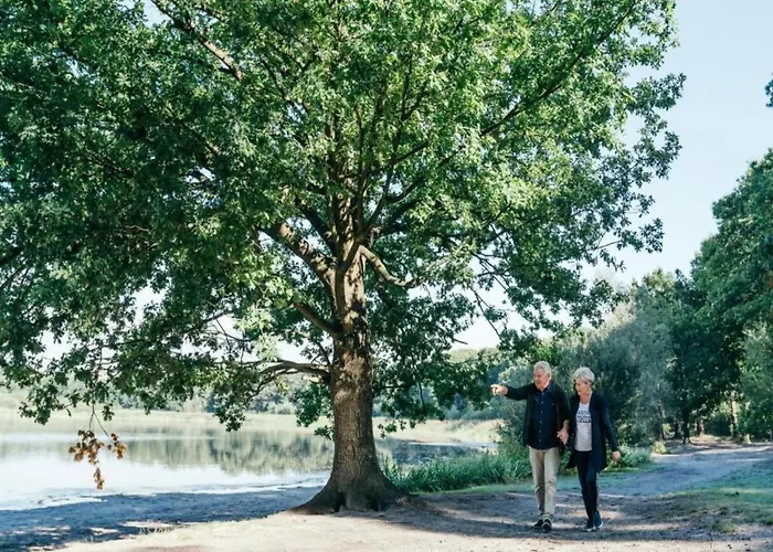 In Brabant With Cozy Covered Terrace Chalet Oirschot