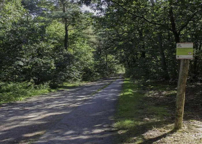 In Brabant With Cozy Covered Terrace Oirschot