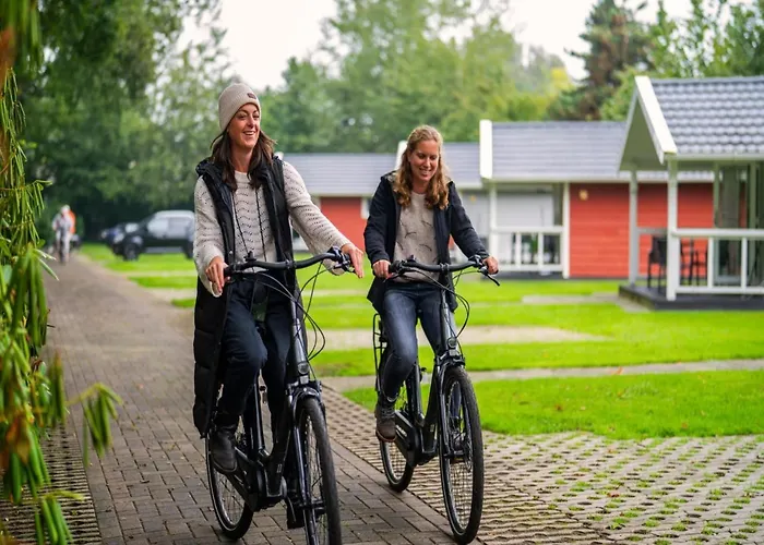 Chalet In Brabant With Cozy Covered Terrace