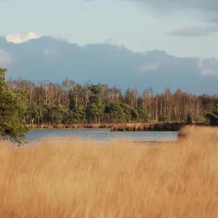 In Brabant With Cozy Covered Terrace 木屋 奥斯楚特