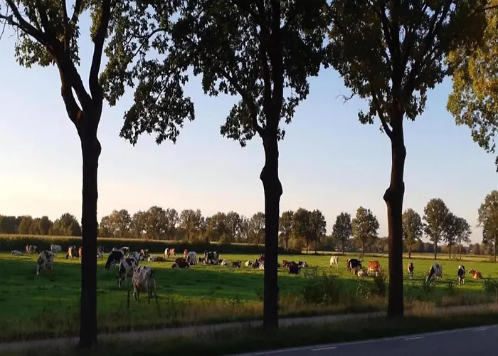 In Brabant With Cozy Covered Terrace 奥斯楚特