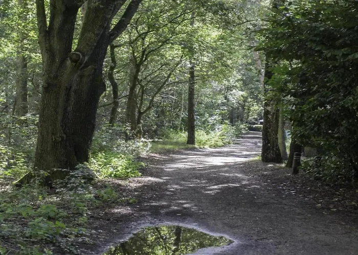 In Brabant With Cozy Covered Terrace 木屋 奥斯楚特