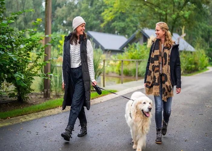 木屋 In Brabant With Cozy Covered Terrace 奥斯楚特